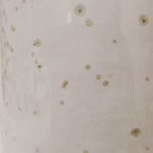 MUG BOOBS – APPALOOSA