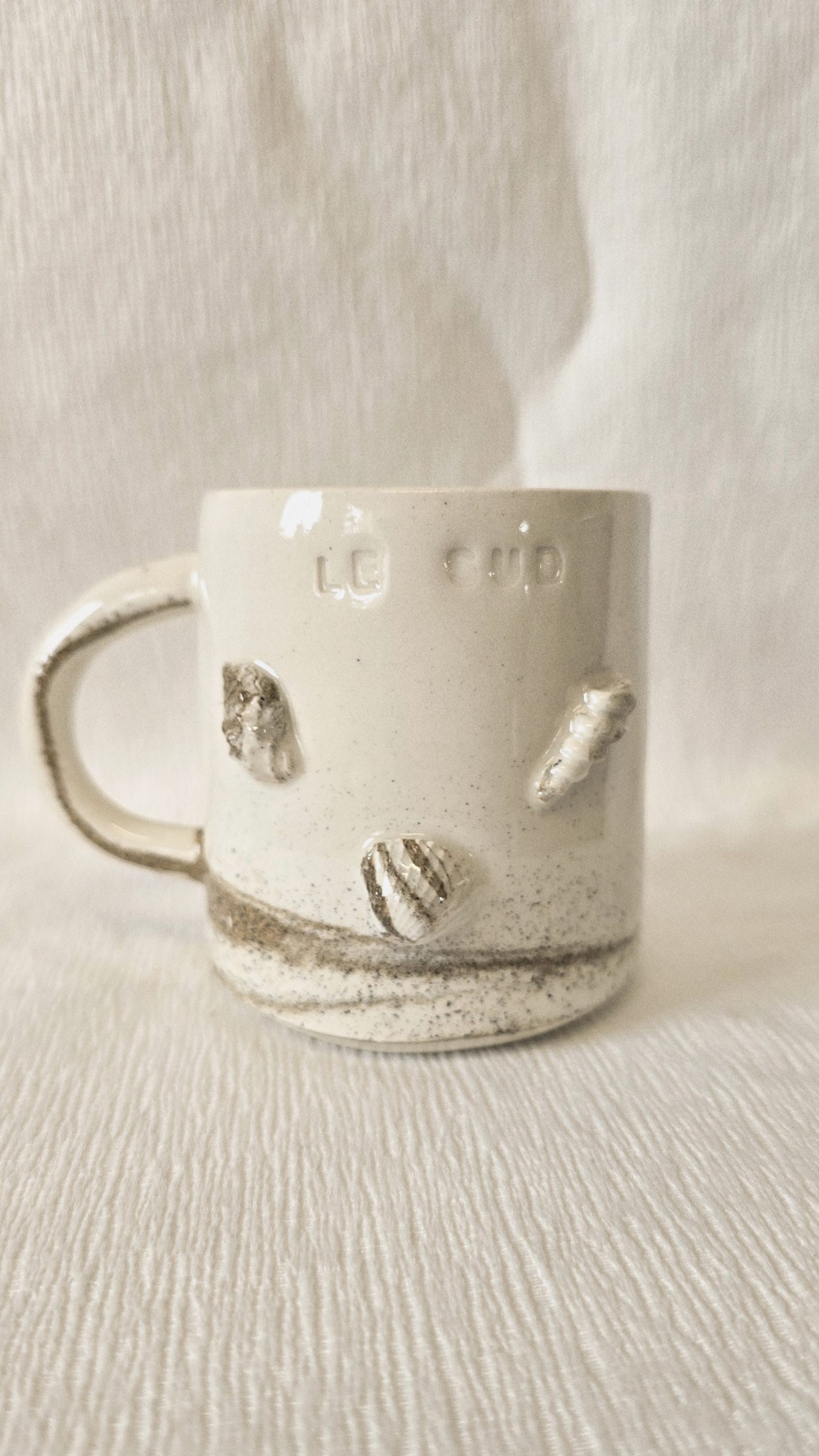 tasse le sud coquillage