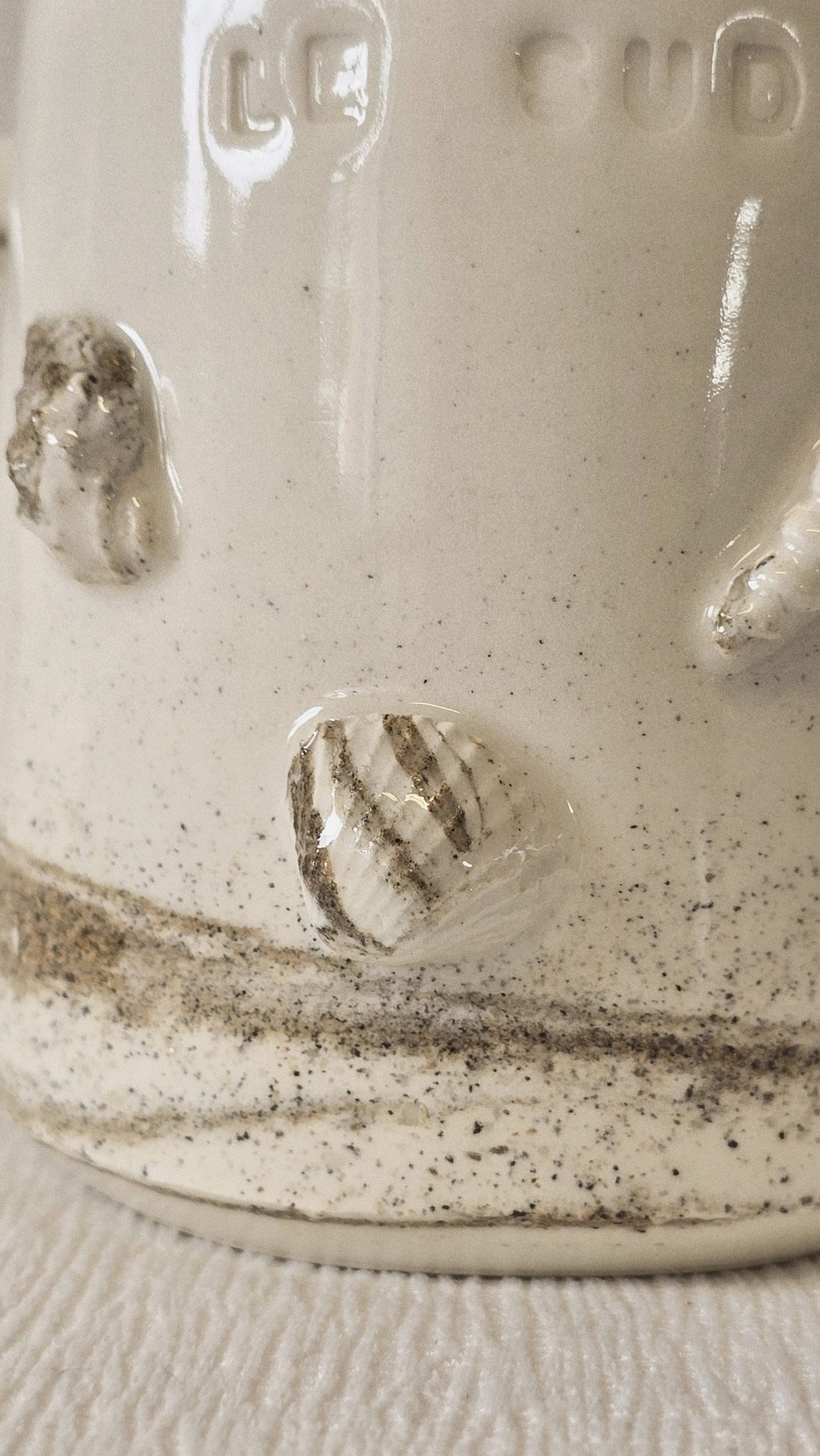 tasse le sud coquillage
