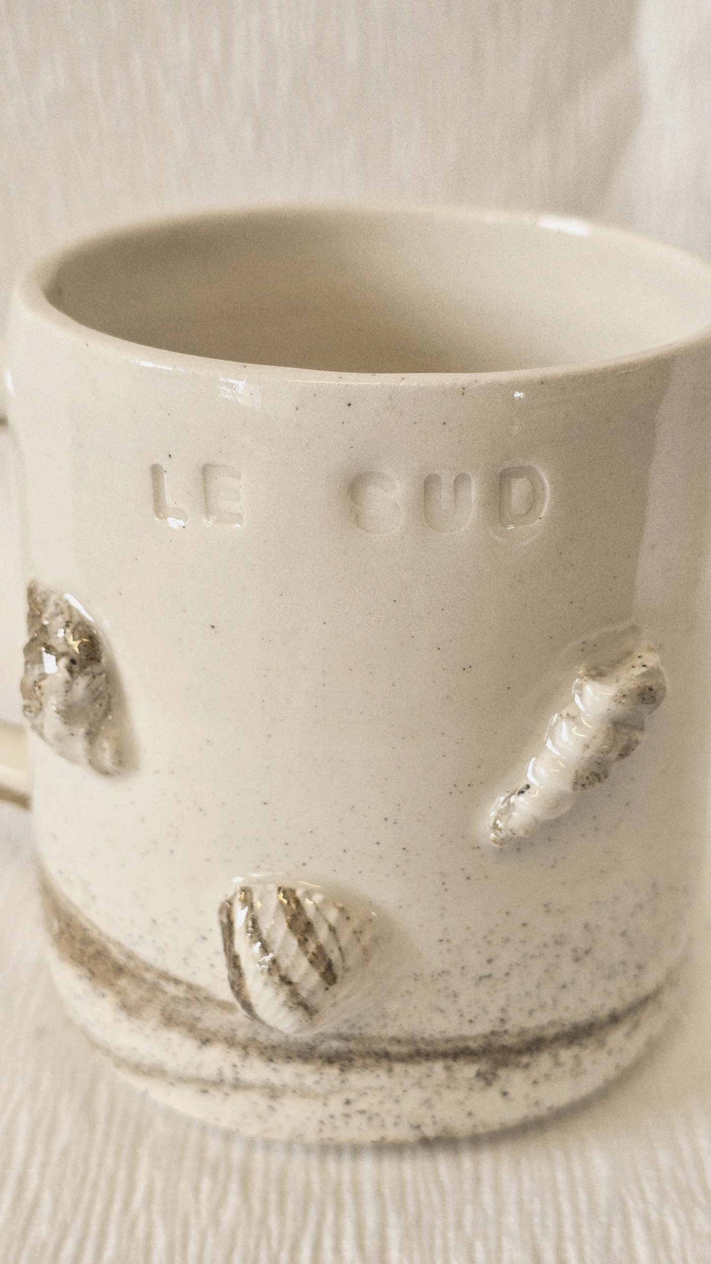 tasse le sud coquillage